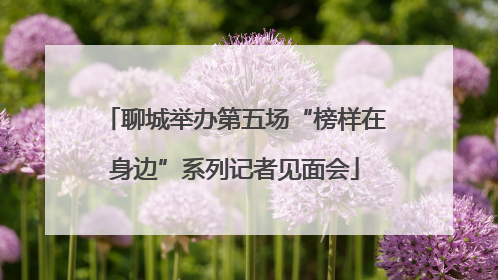 聊城举办第五场“榜样在身边”系列记者见面会