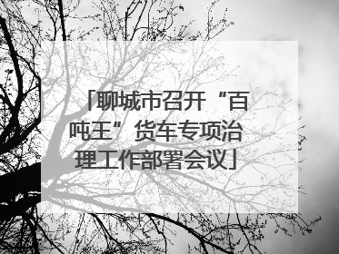 聊城市召开“百吨王”货车专项治理工作部署会议
