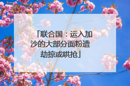 联合国：运入加沙的大部分面粉遭劫掠或哄抢