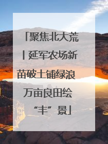 聚焦北大荒丨延军农场新苗破土铺绿浪 万亩良田绘“丰”景