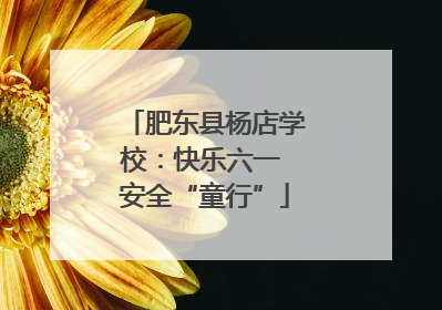 肥东县杨店学校：快乐六一 安全“童行”