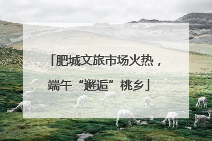 肥城文旅市场火热，端午“邂逅”桃乡