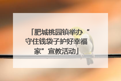 肥城桃园镇举办“守住钱袋子护好幸福家”宣教活动