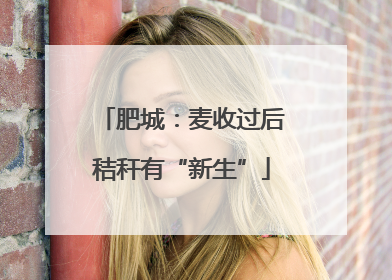 肥城：麦收过后秸秆有“新生”