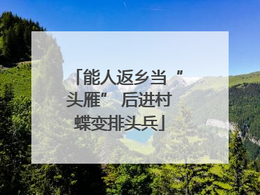 能人返乡当“头雁” 后进村蝶变排头兵