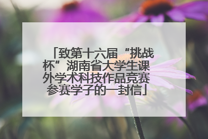 致第十六届“挑战杯”湖南省大学生课外学术科技作品竞赛参赛学子的一封信