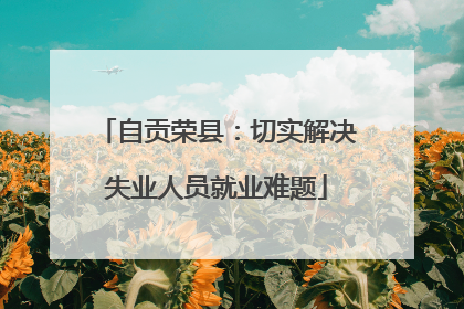 自贡荣县：切实解决失业人员就业难题