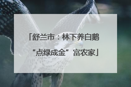 舒兰市：林下养白鹅 “点绿成金”富农家