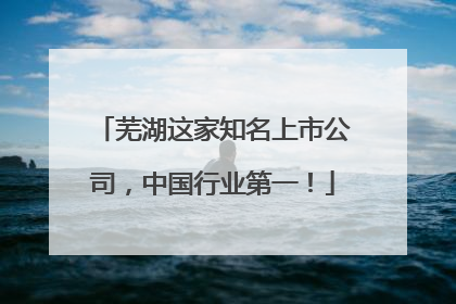 芜湖这家知名上市公司，中国行业第一！
