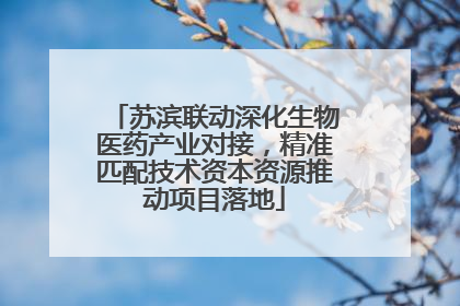 苏滨联动深化生物医药产业对接，精准匹配技术资本资源推动项目落地
