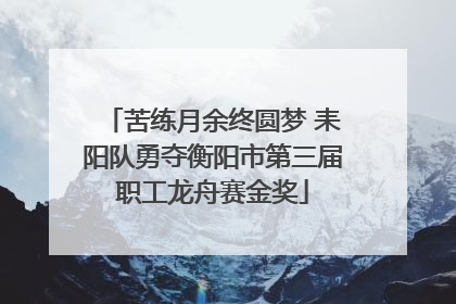 苦练月余终圆梦 耒阳队勇夺衡阳市第三届职工龙舟赛金奖