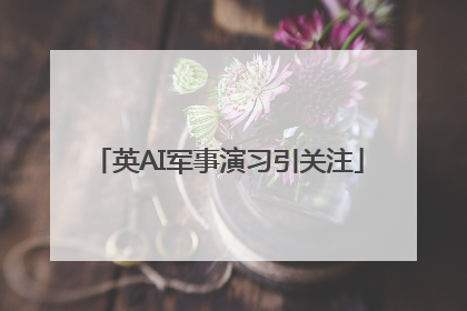 英AI军事演习引关注