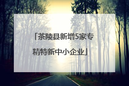 茶陵县新增5家专精特新中小企业