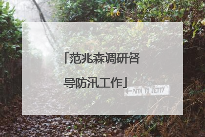范兆森调研督导防汛工作