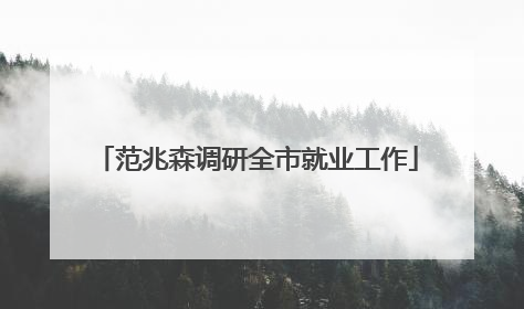 范兆森调研全市就业工作