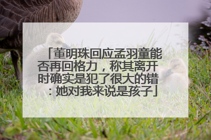 董明珠回应孟羽童能否再回格力，称其离开时确实是犯了很大的错：她对我来说是孩子