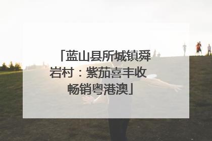 蓝山县所城镇舜岩村：紫茄喜丰收 畅销粤港澳