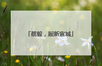 蔡毅，履新宣城