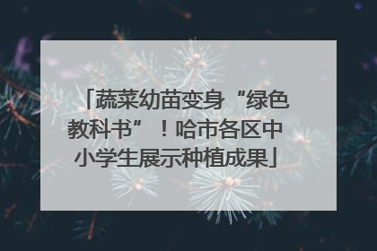 蔬菜幼苗变身“绿色教科书”！哈市各区中小学生展示种植成果