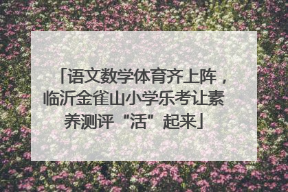 语文数学体育齐上阵，临沂金雀山小学乐考让素养测评“活”起来