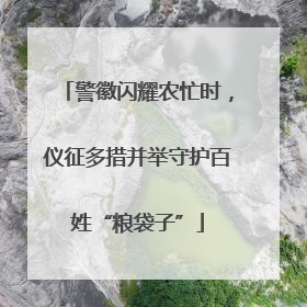 警徽闪耀农忙时，仪征多措并举守护百姓“粮袋子”