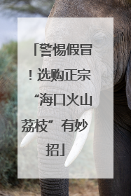 警惕假冒！选购正宗“海口火山荔枝”有妙招