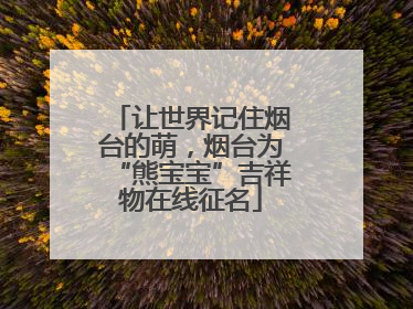 让世界记住烟台的萌，烟台为“熊宝宝”吉祥物在线征名