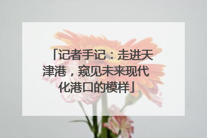 记者手记：走进天津港，窥见未来现代化港口的模样