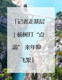 记者走基层｜杨树打“点滴” 来年抑飞絮
