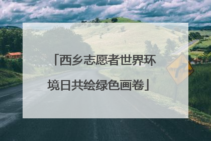 西乡志愿者世界环境日共绘绿色画卷