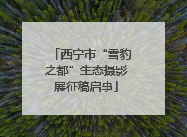 西宁市“雪豹之都”生态摄影展征稿启事