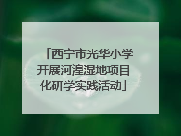 西宁市光华小学开展河湟湿地项目化研学实践活动