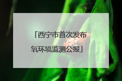 西宁市首次发布氧环境监测公报