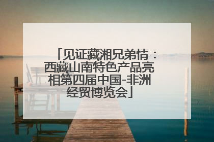 见证藏湘兄弟情：西藏山南特色产品亮相第四届中国-非洲经贸博览会