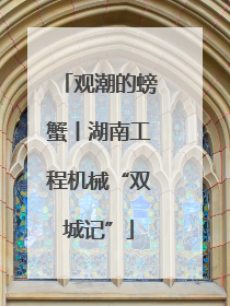 观潮的螃蟹丨湖南工程机械“双城记”