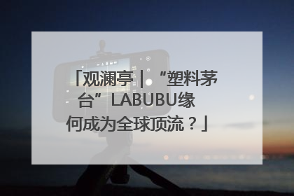 观澜亭｜“塑料茅台”LABUBU缘何成为全球顶流？