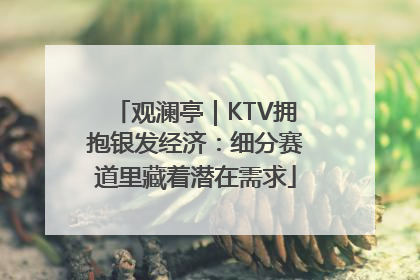观澜亭｜KTV拥抱银发经济：细分赛道里藏着潜在需求