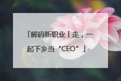 解码新职业丨走，一起下乡当“CEO”