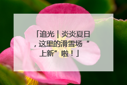 追光｜炎炎夏日，这里的滑雪场“上新”啦！