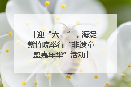 迎“六一”，海淀紫竹院举行“非遗童盟嘉年华”活动
