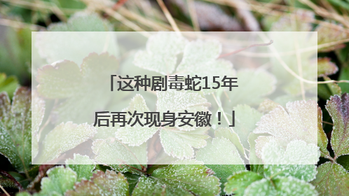 这种剧毒蛇15年后再次现身安徽！