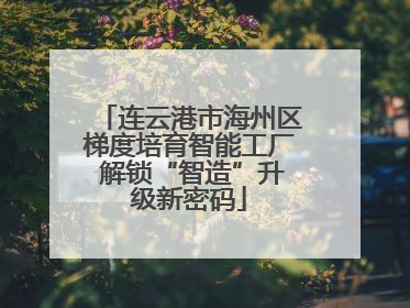 连云港市海州区梯度培育智能工厂 解锁“智造”升级新密码