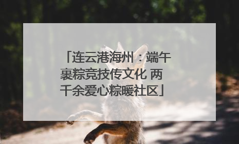 连云港海州：端午裹粽竞技传文化 两千余爱心粽暖社区
