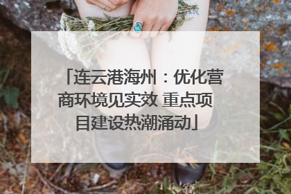 连云港海州：优化营商环境见实效 重点项目建设热潮涌动