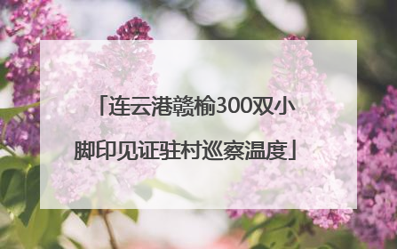 连云港赣榆300双小脚印见证驻村巡察温度