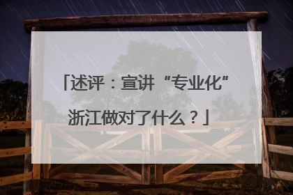 述评：宣讲“专业化” 浙江做对了什么？
