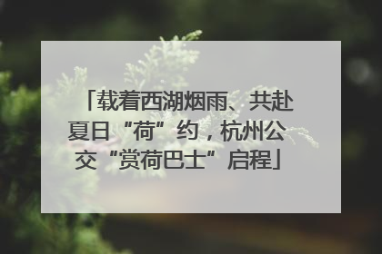 载着西湖烟雨、共赴夏日“荷”约，杭州公交“赏荷巴士”启程