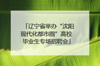 辽宁省举办“沈阳现代化都市圈”高校毕业生专场招聘会