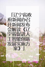 辽宁省政府新闻办召开新闻发布会解读《辽宁省促进人工智能创新发展实施方案》