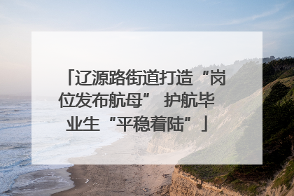辽源路街道打造“岗位发布航母” 护航毕业生“平稳着陆”